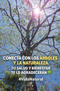 conexion natural